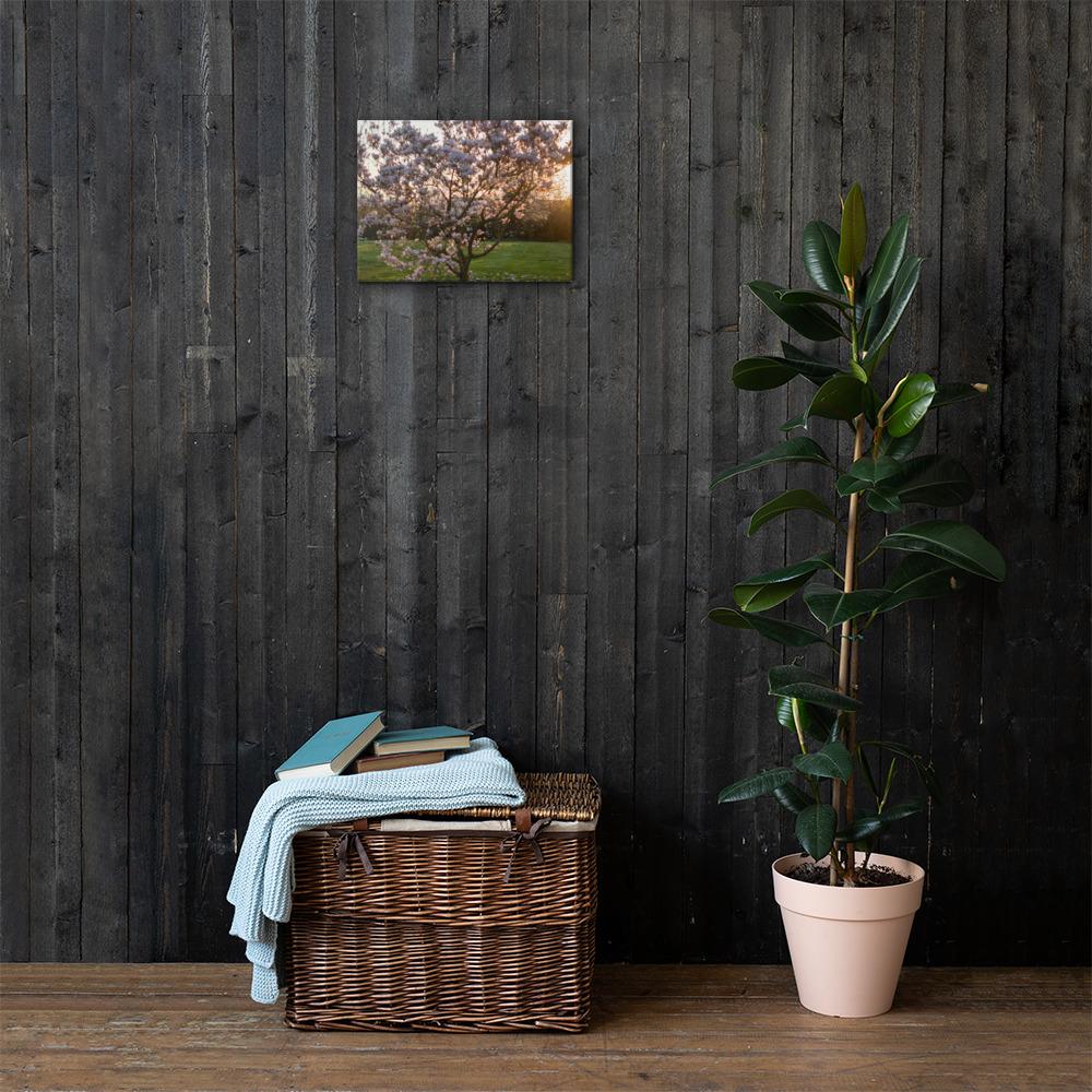 English Cherry Tree in Blossom by Jeremy Foxx - Pro Travel Gear ShopArtClassic Nomadic Man