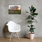 English Cherry Tree in Blossom by Jeremy Foxx - Pro Travel Gear ShopArtClassic Nomadic Man