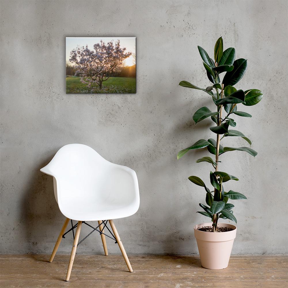 English Cherry Tree in Blossom by Jeremy Foxx - Pro Travel Gear ShopArtClassic Nomadic Man