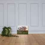 English Cherry Tree in Blossom by Jeremy Foxx - Pro Travel Gear ShopArtClassic Nomadic Man