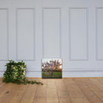 English Cherry Tree in Blossom by Jeremy Foxx - Pro Travel Gear ShopArtClassic Nomadic Man